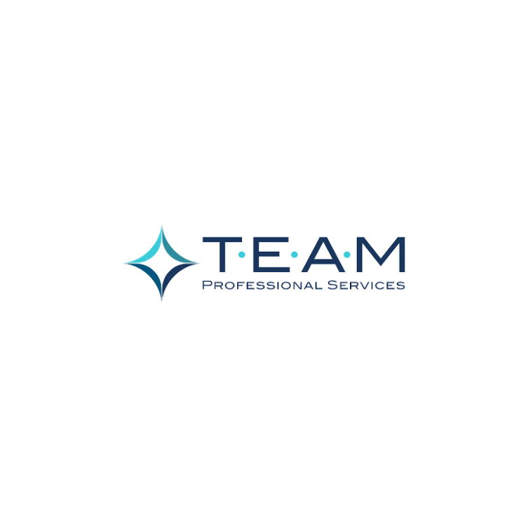 TEAM Professional Services
